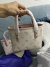 纽芝兰（NUCELLE）沈月同款飞马小托特包2025新款菜篮子手提通勤女生包包生日礼物 实拍图