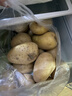 新鲜土豆现挖现发山东正宗黄心黄肉当季蔬菜马铃薯洋芋薯条3两起 山东土豆带箱3斤 中大果 实拍图