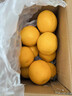 京鲜生 当季鲜橙 净重6斤装 钻石果 单果约200-280g  生鲜水果橙子礼盒 实拍图