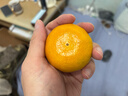 京鲜生 无核蜜桔 精选5斤装橘子/桔子  单果100g+ 生鲜水果礼盒 实拍图