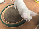 疯狂的主人 猫抓板窝超大号圆形不掉屑耐磨一体猫窝磨爪猫咪玩具 实拍图