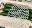 京喜加新鲜无刺水果小黄瓜小青瓜脆甜荷兰脆嫩生吃黄瓜蔬菜 水果黄瓜 3斤 带箱 实拍图