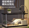 阔庭（KUOTING）乌龟缸生态缸宠物饲养箱透明爬宠专用水陆两用过滤爬台款黑色 实拍图