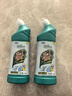 绿岛洁厕灵洁厕液 马桶清洁剂卫生间除臭垢厕所杀菌去异味500g*2 实拍图