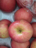 京鲜生 烟台红富士苹果 净重8斤  单果230g起 水果礼盒 实拍图