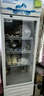 白雪雅竹大容量饮料柜商用冰柜直冷藏展示柜酒水柜纯风冷无霜保鲜柜超市玻璃门冰箱立式啤酒柜 小单门【直冷蓝白】530*540*1630mm 实拍图