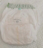 babycare金山茶花婴儿拉拉裤mini装XL码18片(12-17kg)尿不湿【新老混发】 实拍图