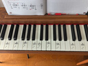 海蒂诗电钢琴便携式88键重锤初学者儿童电子钢琴成人专业电钢考级幼儿 B-101棕色-力度单踏-钛金腿 实拍图