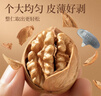 楼兰蜜语 薄皮大核桃500g/袋*2 新疆纸皮核桃 新二核桃零食 果炒货  实拍图