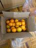 江西赣南早脐橙整箱当季新鲜早橙子榨汁水果礼盒皮薄多汁节日团购 【实惠】净重9斤单个150g+ 实拍图