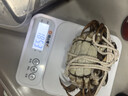 【活蟹】蟹宗大闸蟹鲜活螃蟹河蟹现货全母3.5-3.8两8只去绳足重水产生鲜海鲜礼品礼盒 实拍图