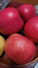青怡陕西特产洛川红富士时令苹果新鲜水果礼盒 源头产地包邮直发 9斤【中大果】160g+ 实拍图