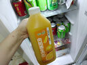 味全【孟子义同款】每日C苹果汁 1600ml 100%果汁 冷藏果蔬汁饮料聚餐 实拍图