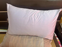 康尔馨希尔顿五星级酒店枕头 抗菌纯棉纤维枕成人家用单人枕头芯 白色 中枕(74*48cm) 一对 实拍图