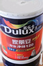 多乐士（Dulux）家丽安专业净味120二合一A8666高遮盖内墙乳胶漆5L  【京仓调色】 实拍图