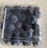 鲜级佳辽宁丹东蓝莓王【多地次日达】新鲜孕妇L25花香蓝莓礼盒怡颗蓝莓 6盒【100g/盒】高复购率-超划算 人工挑选 精品大果【单果14-16mm+】 实拍图
