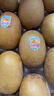 佳沛（zespri）新西兰 新果季 阳光金奇异果33粒原箱单果重约101-114g 猕猴桃 实拍图