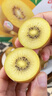 佳沛（zespri）新西兰  阳光金奇异果25-27粒原箱特大果单果约122-146g  猕猴桃 实拍图