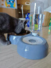 甜浪海猫碗双碗自动喂食器不锈钢狗盆幼猫吃饭喝水防打翻饮水机宠物食盆 实拍图