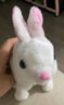 亦趣电动兔子小白兔毛绒玩具会跑会叫好玩女孩3岁儿童生日礼物 小兔子(白) 实拍图