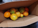 土八鲜江西橙子赣南脐橙新鲜水果赣州脐橙手剥甜橙礼盒 奋进橙9-10斤【果径70-79mm】 晒单实拍图