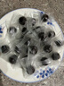 西域美农六珍轻膳丸150g  食物轻养蜜饯果脯休闲零食颗颗独立装酸甜适口 实拍图