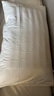 然牌 荞麦枕 护颈枕五星级酒店枕软硬两用枕全棉 单只装48x74cm 实拍图