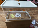 阔庭（KUOTING）鱼缸桌面透明生态鱼缸客厅水族箱白色 实拍图