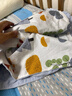 好孩子（gb）婴儿被子宝宝毯子豆豆安抚毯幼儿园盖毯午睡毯子母婴A类100*80cm 实拍图