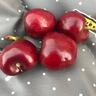 三萌果蔬智利车厘子【JD/顺丰-多地次日达】新鲜进口大樱桃高端水果礼盒 1.8斤(净重) 【80%选择】精美礼盒 【黑钻级】巨无霸 3J 单果30-32mm 店长力荐 实拍图