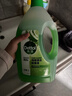 滴露（Dettol）地板清洗剂青苹地板清洁剂拖地清洁剂地板瓷砖清洁剂拖地专用2L 实拍图