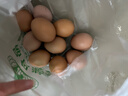 谷物鲜鸡蛋 农户散养新鲜鸡蛋 单枚50g±5 10枚（50克/枚） 实拍图