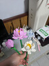 乐高（LEGO）积木拼装40647 荷花男孩女孩儿童玩具生日礼物 实拍图