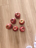 花牛 天水花牛苹果 TIANSHUI HUANIU APPLE 当季现摘粉面红苹果 新鲜水果整箱 孕妇 宝宝辅食 团购送礼 蛇果 5斤装（净果4.5-5斤）优选果 实拍图