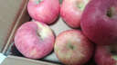 京鲜生 陕西洛川红富士苹果净重5斤 单果80-85mm 源头直发 实拍图