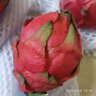 海南红心火龙果金都一号装新鲜采摘现摘现发 火龙果带箱2斤（单果200g+） 实拍图
