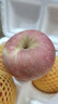 甜醉了 烟台苹果栖霞红富士新鲜水果生鲜山东特产脆甜整箱平果礼盒礼品 净重4.5斤80-85mm 实拍图