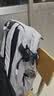光影行星（GYXX）宙斯Z Air双肩背包男士通勤电脑包大学生运动休闲旅行大容量书包 云幕灰/大-适合17寸游戏本 实拍图