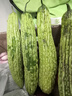 新鲜现摘绿色苦瓜当季凉瓜清脆爽口清热降火新鲜蔬菜生鲜 山东新鲜苦瓜 2斤 带箱 实拍图