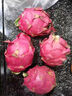 金都一号红心火龙果红肉蜜宝新鲜孕妇水果当季现摘果园直发整箱 5斤大果【单果300-400g】 实拍图