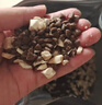 醇粹黑标猫粮纯享版 全价无谷猫粮成猫幼猫 双效益生菌通用猫主粮10斤 实拍图
