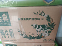 伊利【18天新鲜直达】金典纯牛奶250ml*16盒3.6g乳蛋白 礼盒装  实拍图