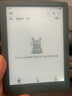 掌阅（iReader）Light4 Turbo 6英寸智能阅读本 电子书阅读器 墨水屏电纸书 平板电脑学习看漫 便携笔记本 语绿 实拍图