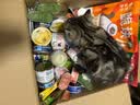 鲜朗主食罐猫咪营养蓝猫英短暹罗幼猫成猫替代主粮全价湿粮猫罐头 牛肉口味5盒【100g*30罐】 实拍图
