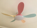 TCL全光谱护眼风扇灯客厅吊扇灯餐厅灯风扇一体电风扇吊灯 吸顶彩色-46寸五叶-变频-遥控 实拍图