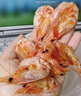 海鲜颂即食大虾干烤虾干虾仁干海虾干海产干货零食干虾海鲜特产源头直发 烤虾干XL 净重100g 实拍图