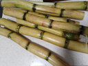广西黄皮甘蔗水果黑皮甘蔗新鲜黄果蔗可榨汁煲汤削皮即食产地直发 【囤货】黄皮甘蔗9斤 实拍图