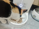 霍曼（Homerun）Real智能自动喂食器猫粮狗粮定时猫咪自动投食器（配陶瓷碗） 实拍图