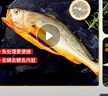 黄小渔宁德三去黄花鱼800g/条 大黄鱼生鲜 鱼类海鱼 海鲜水产 实拍图