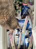 猫条猫零食补充营养味美妙鲜湿粮包猫罐头猫条100支整箱猫咪零食 猫条三文鱼磷虾口味【15g*50支】 实拍图